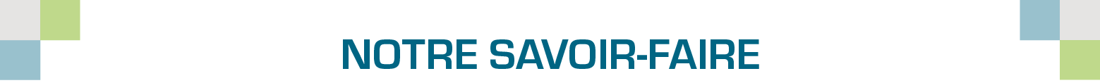 notre savoir-faire